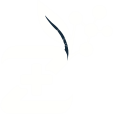 ZAKSINA logo
